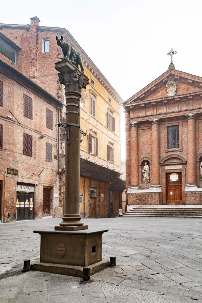 Piazza Tolomei, Lupa Bigemina Senese e chiesa di San Cristoforo Duccio Fiorini