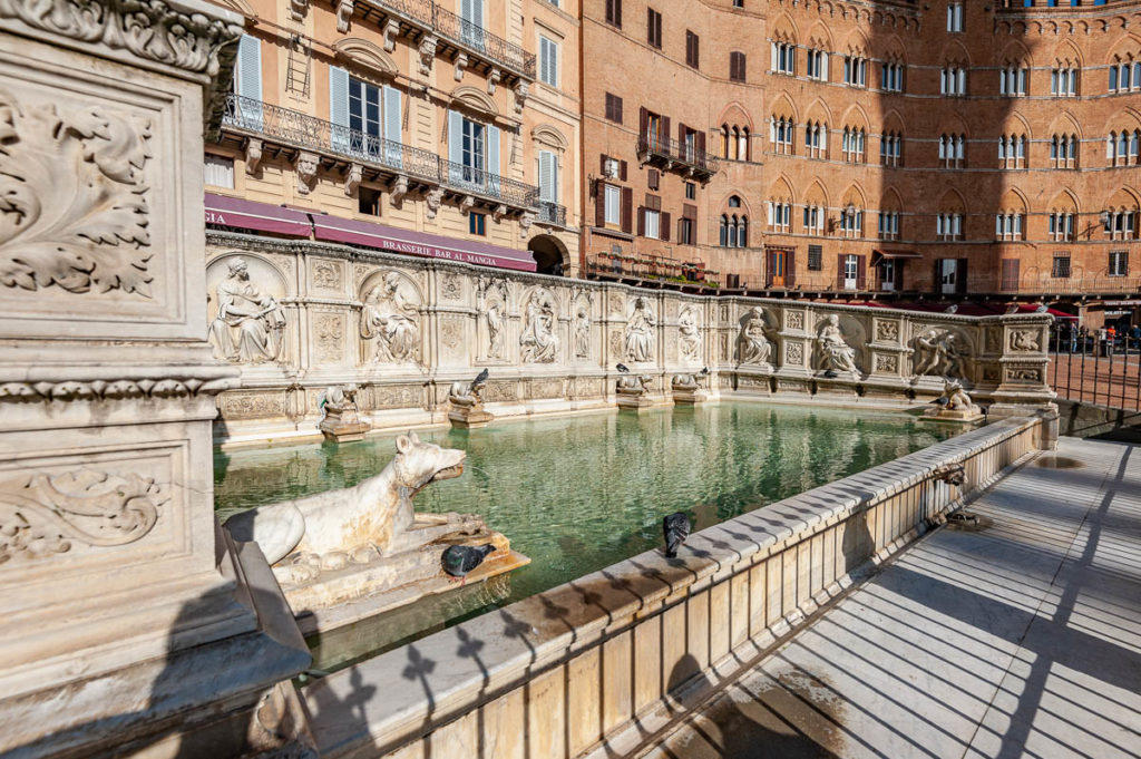 Fonte Gaia foto di Duccio Fiorini